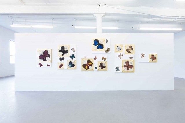 Greg Parma Smith, Melancholy at David Lewis, photo 5