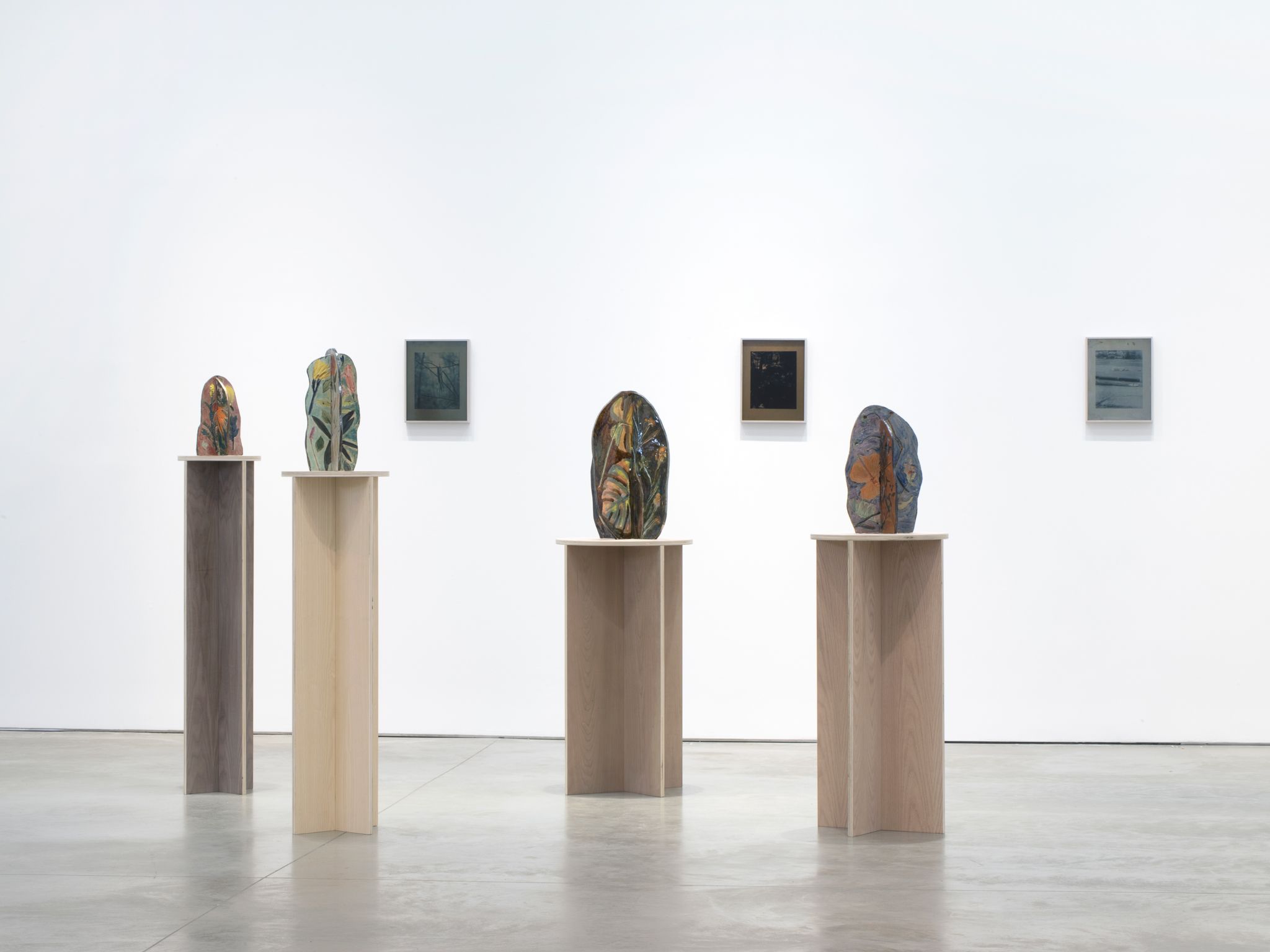 Sam Falls, Sam Falls at 303 Gallery, photo 4