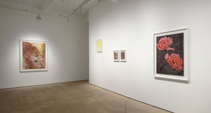 Sebastiaan Bremer, Here Comes The Sun at Hales, photo 2