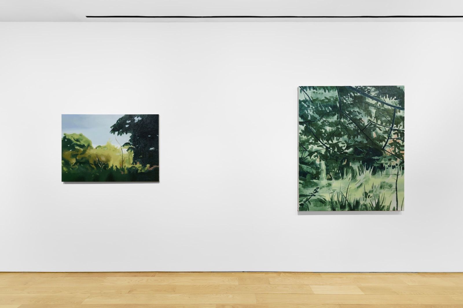 Mike Silva, Landscapes at Anton Kern, photo 3