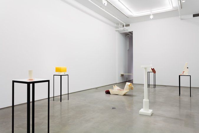 Ross Knight, Human Stuff at Team, photo 2