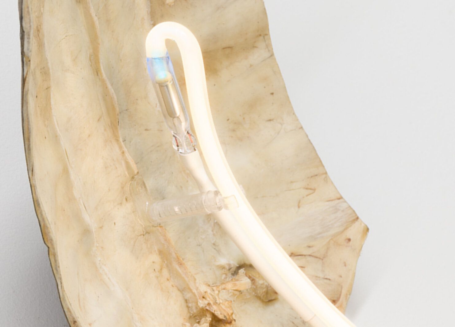 Sean Donovan, Recent Work at M 2 3, photo 6