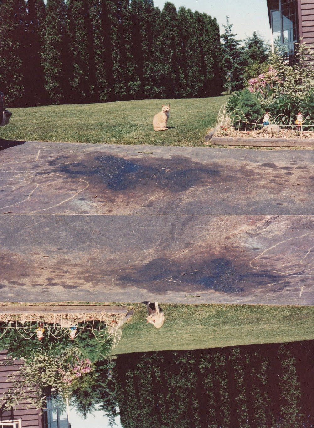 Installation view 2