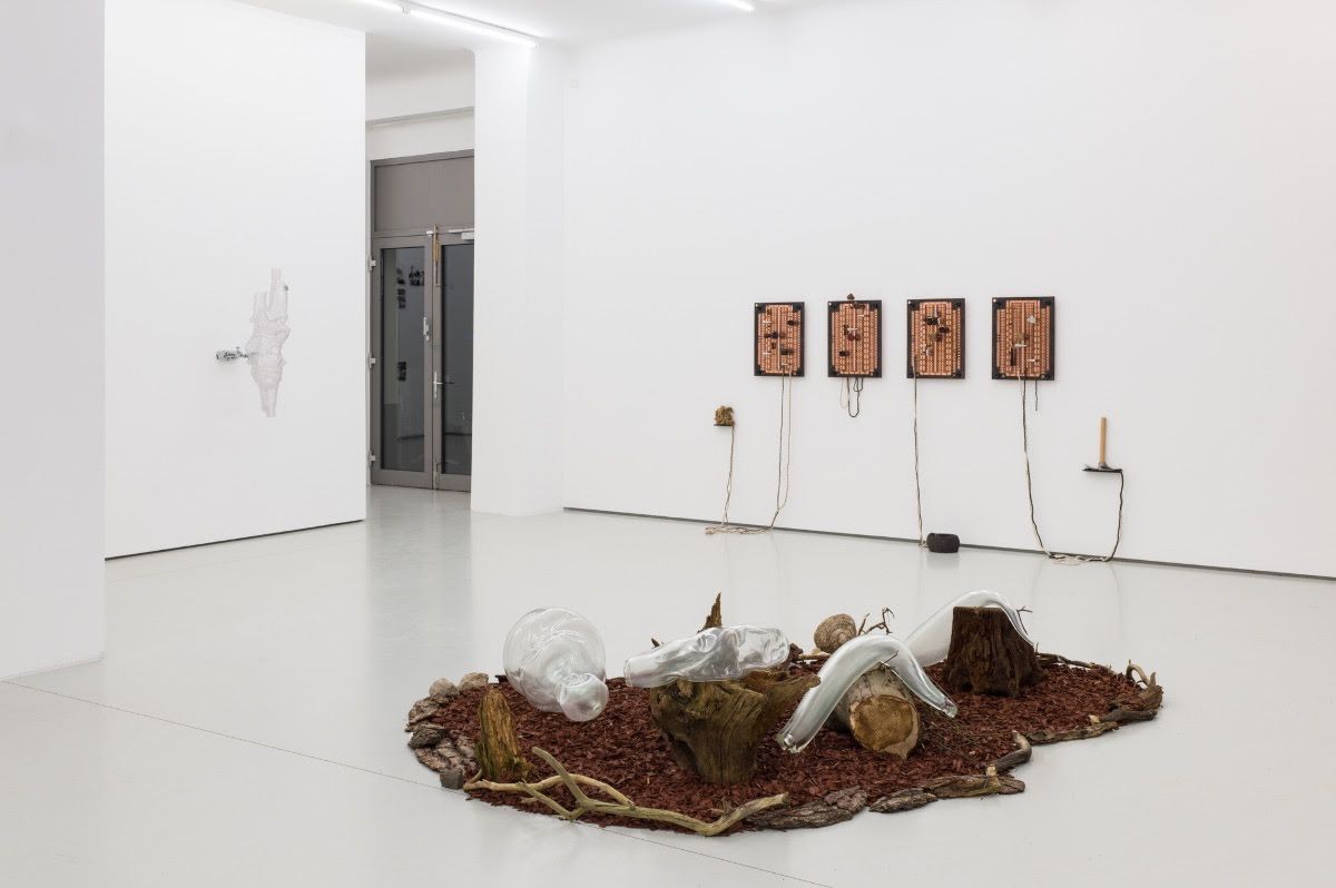 Kin Is Not Kind, Kin Is Not Kind at Alexander Levy, photo 2