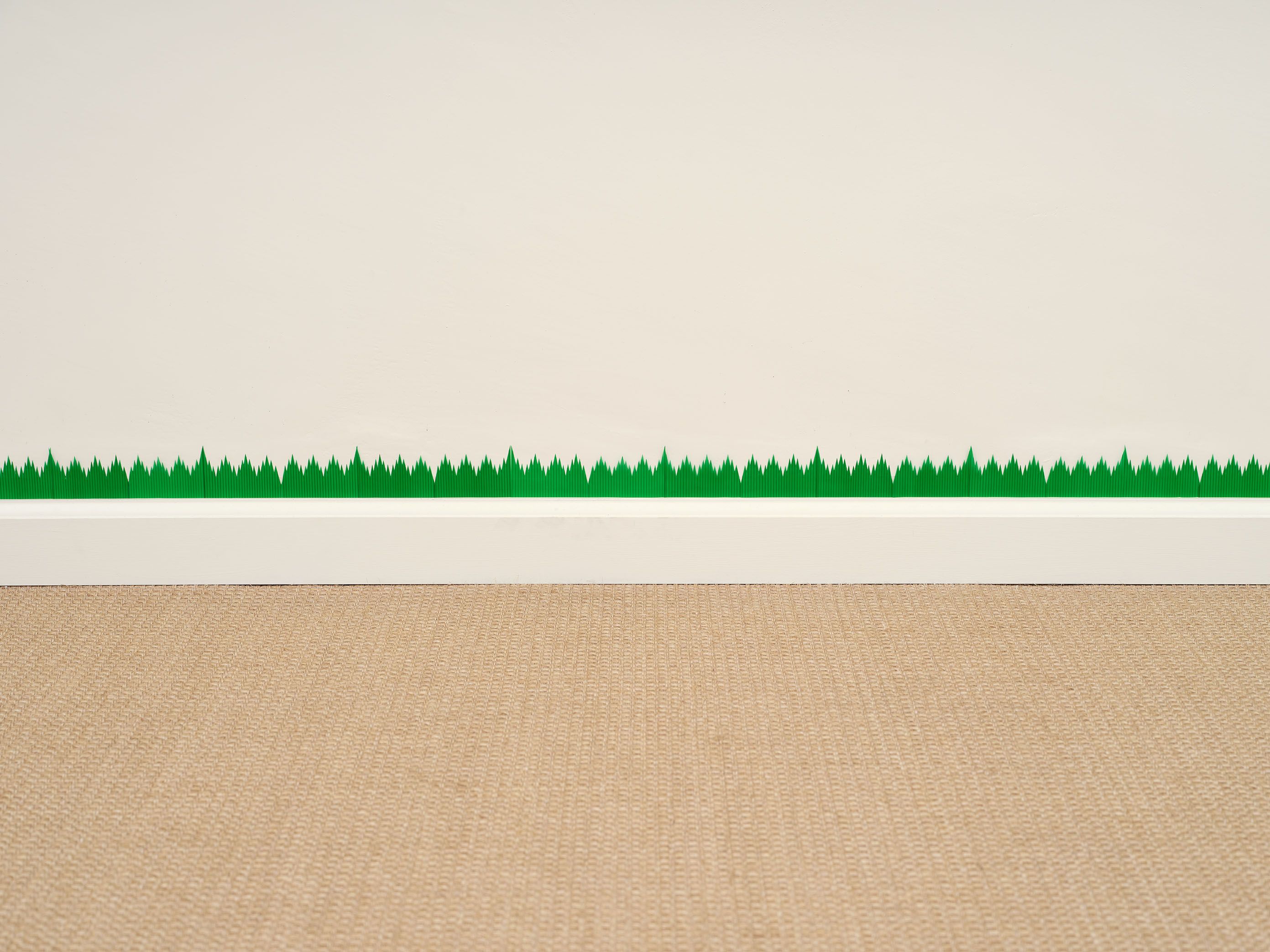 Joe Zorrilla, Timbre at Hannah Hoffman, photo 7
