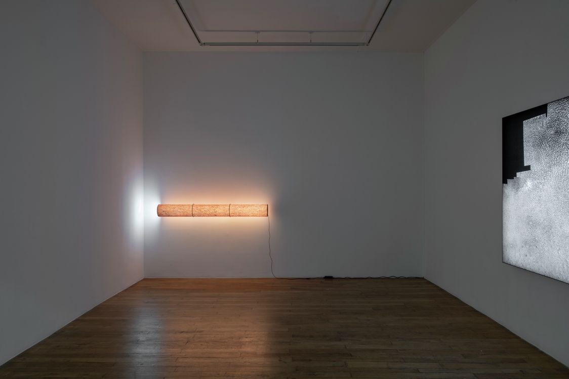 Seth Price, Self as Tube at Chantal Crousel, photo 3