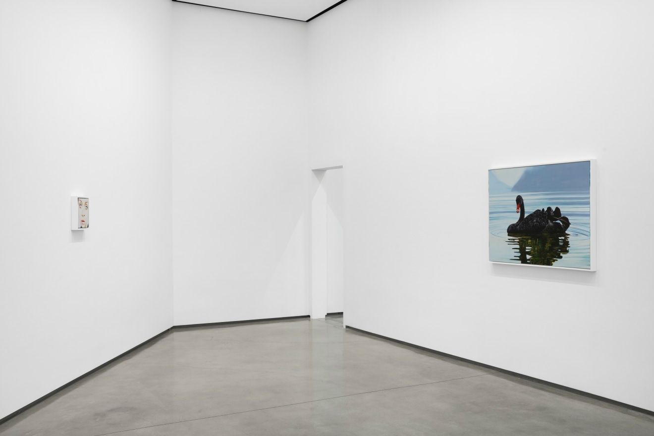 Sam McKinniss, The Perfect Tense at David Kordansky Gallery, photo 9