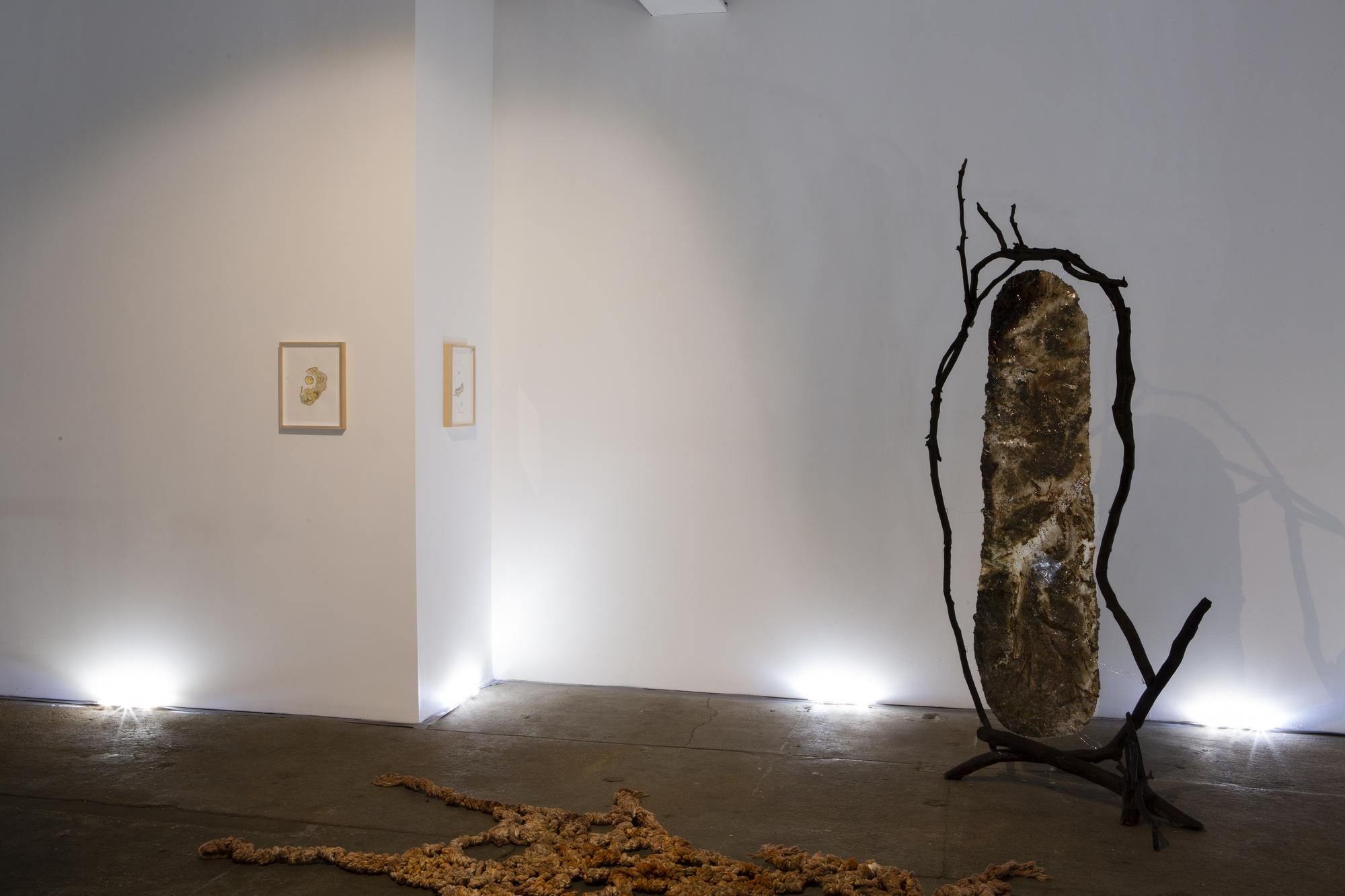 Vanessa Thill, Balsam at Deli Gallery, photo 3