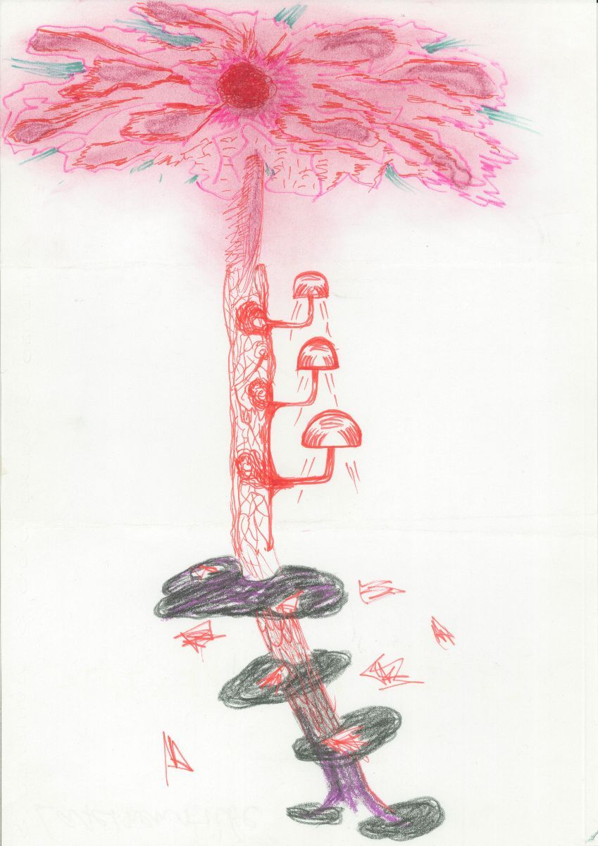 Meret Oppenheim and Friends, Cadavre Exquis at Karma International, photo 5