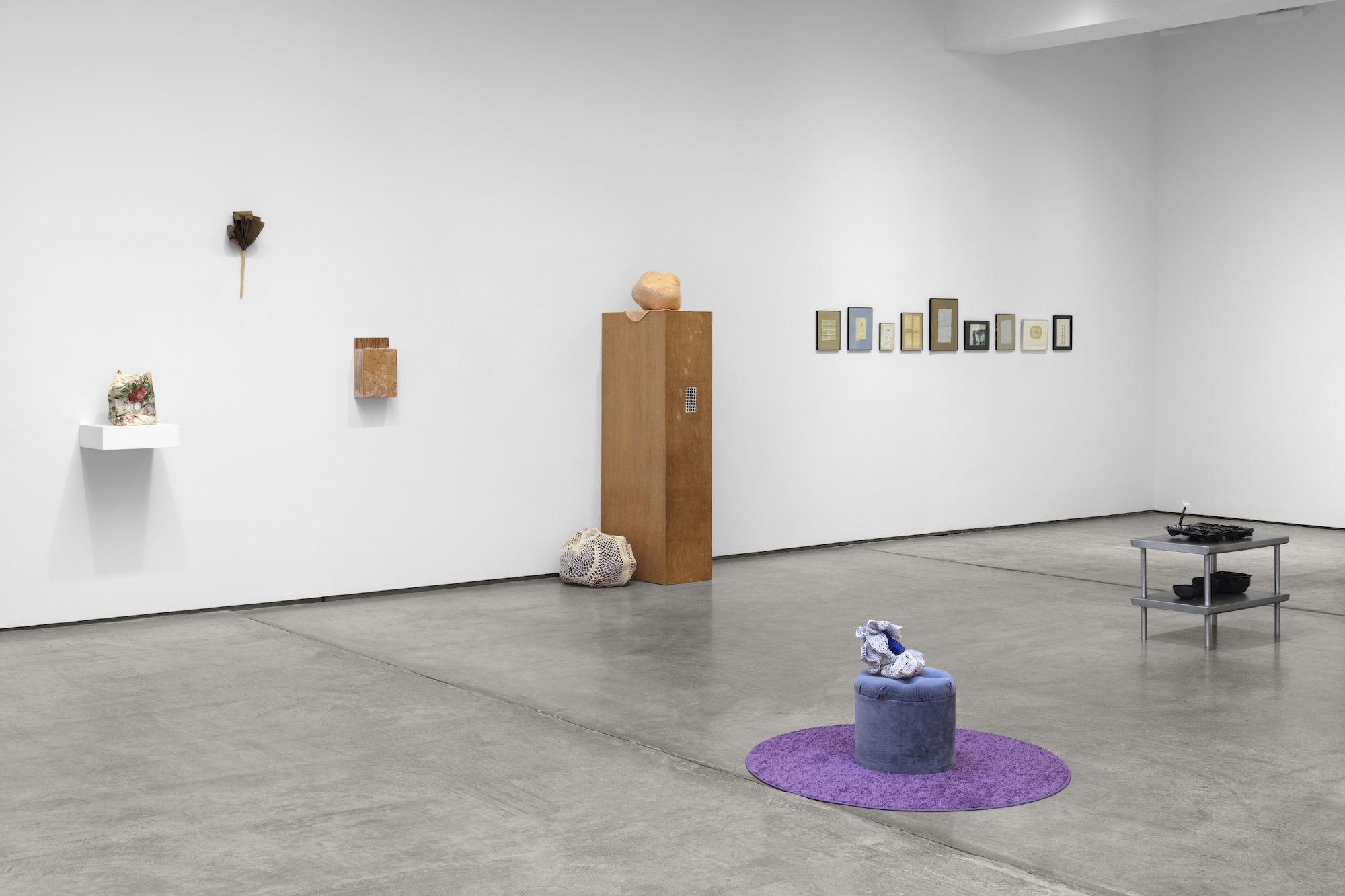 Veronica Ryan, Retrieval at Paula Cooper, photo 6