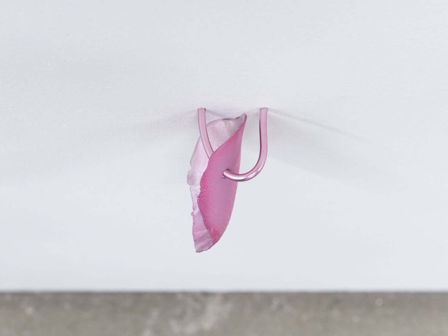 Natalie Dray, Facelift at Studio Leigh, photo 7