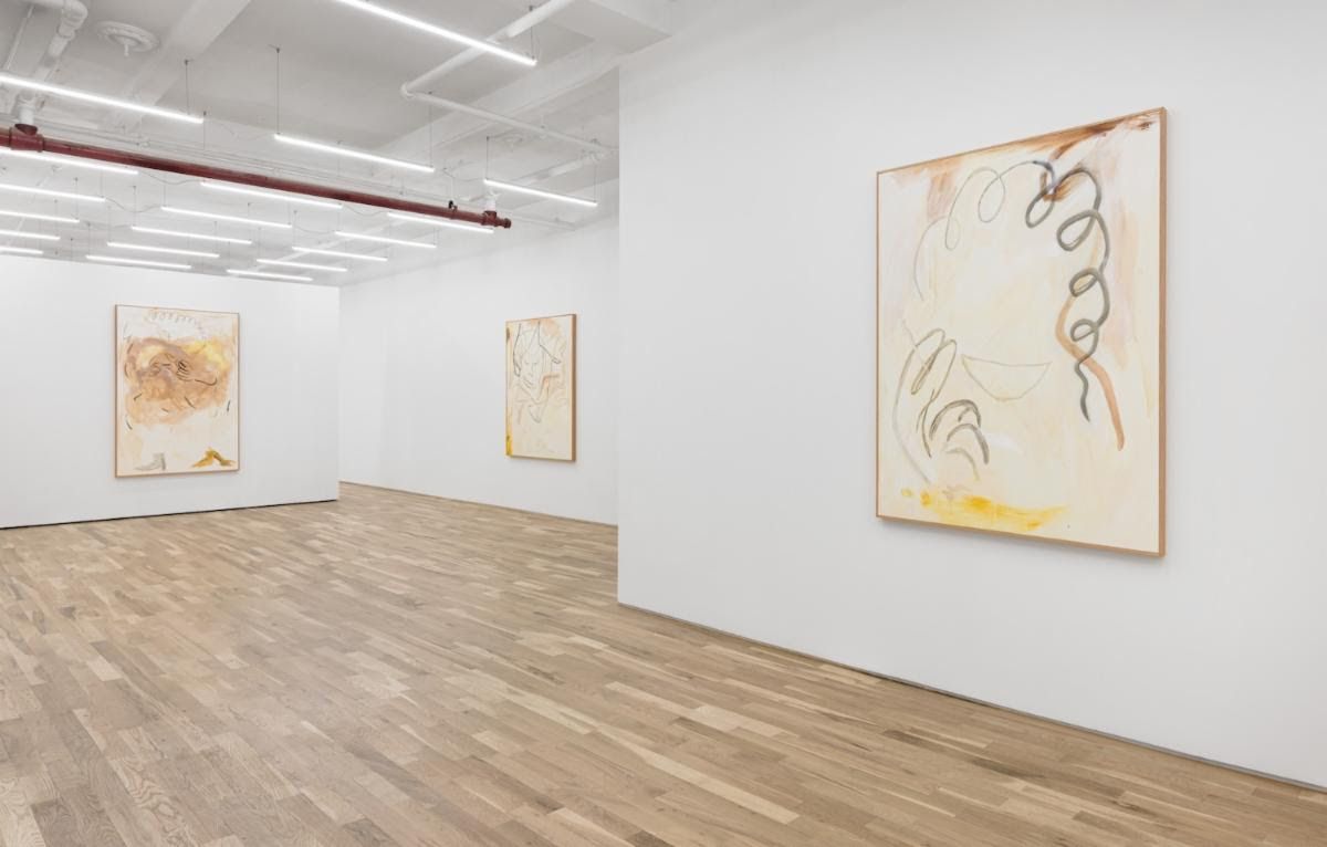 Ricardo Gonzalez, Traces at Asya Geisberg, photo 2