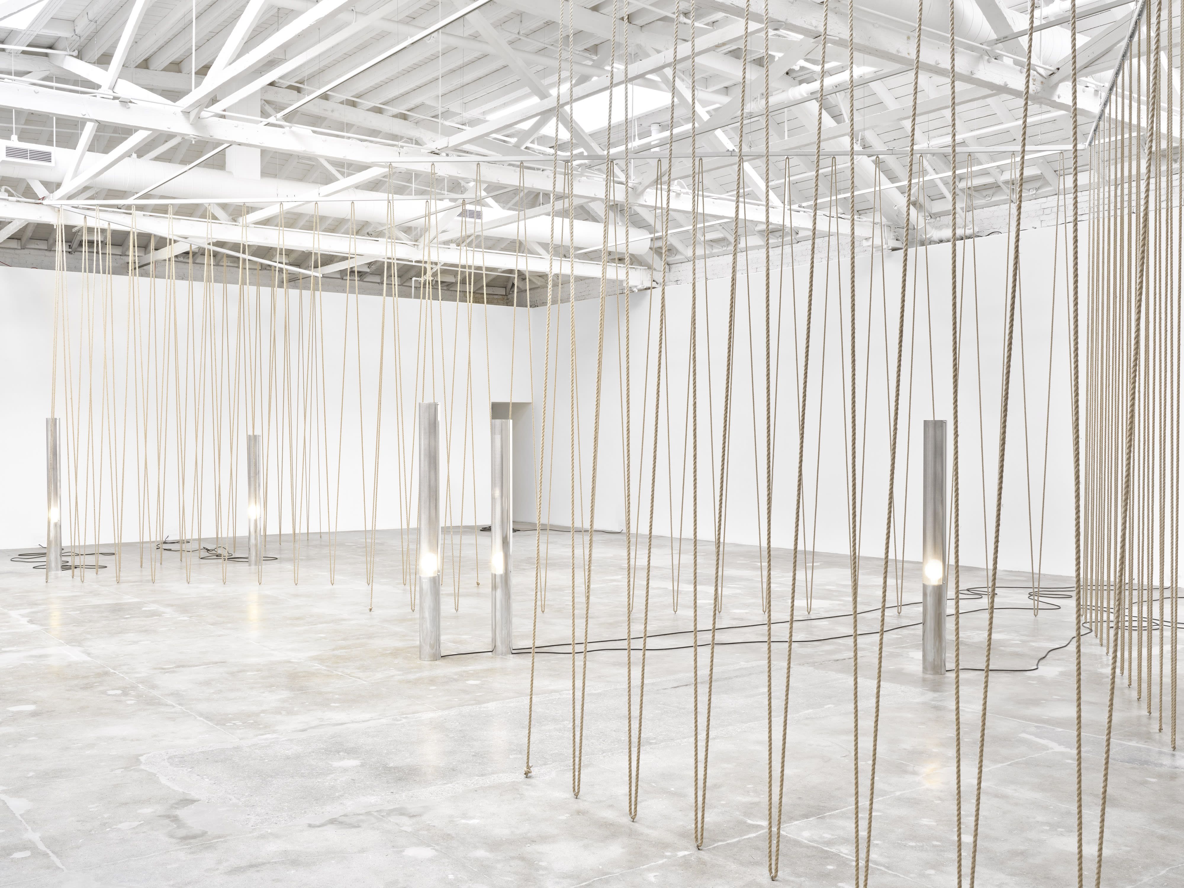 Leonor Antunes, Discrepancies with W.W. (Extended) at Marian Goodman, photo 4