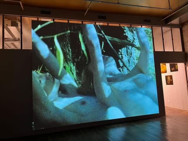 Aneta Bartos, image 2 of 7