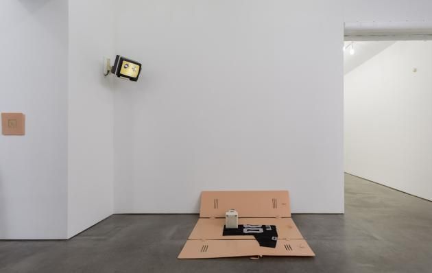Matthew Barney, Facility Of Decline at Gladstone, photo 4
