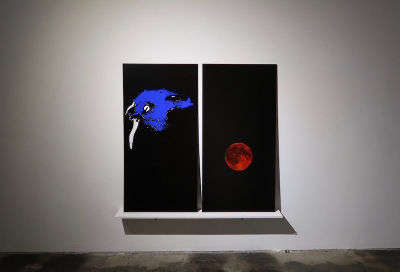Peter Fankhauser, Nowhere Left To Live at AA|LA, photo 2