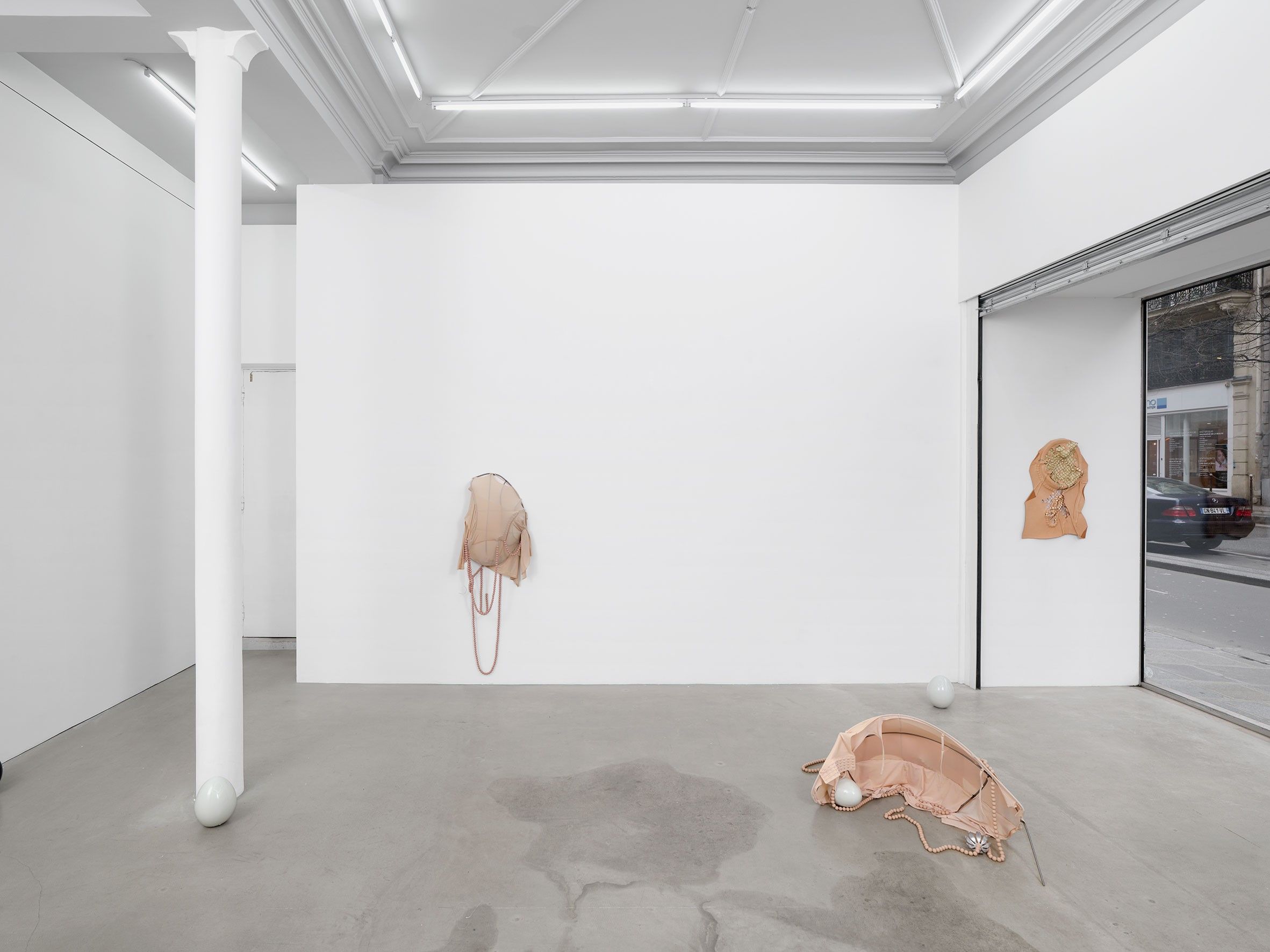 Garance Früh, Hard Shells, Tender Skins at Ciaccia Levi, photo 3