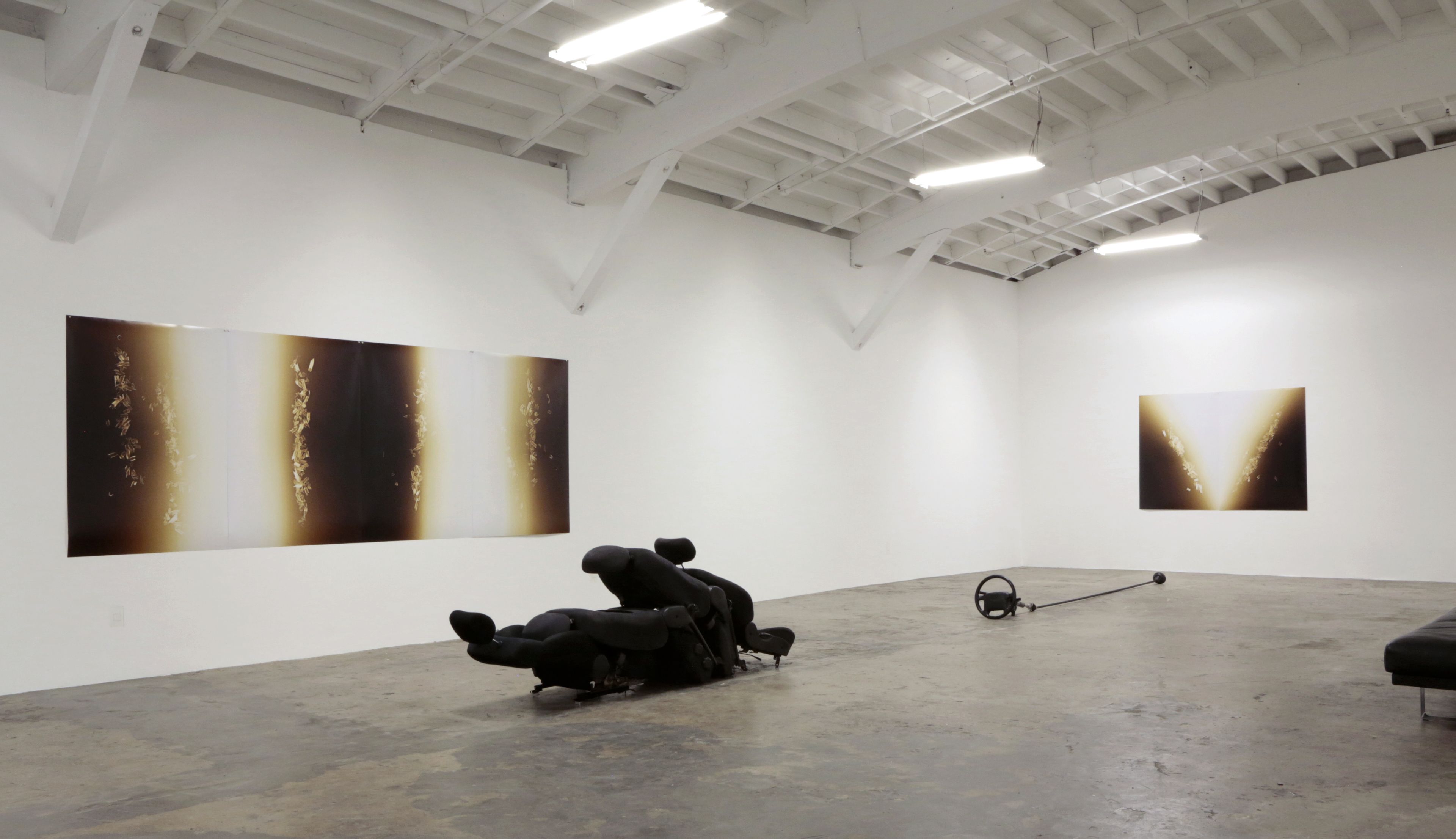 Tatiana Echeverri Fernandez, Bones and Bloodlines to Space at Museum as Retail Space, photo 7