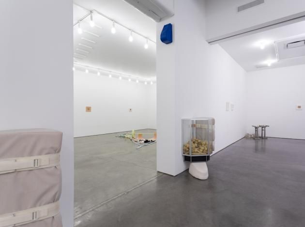 Matthew Barney, Facility Of Decline at Gladstone, photo 6