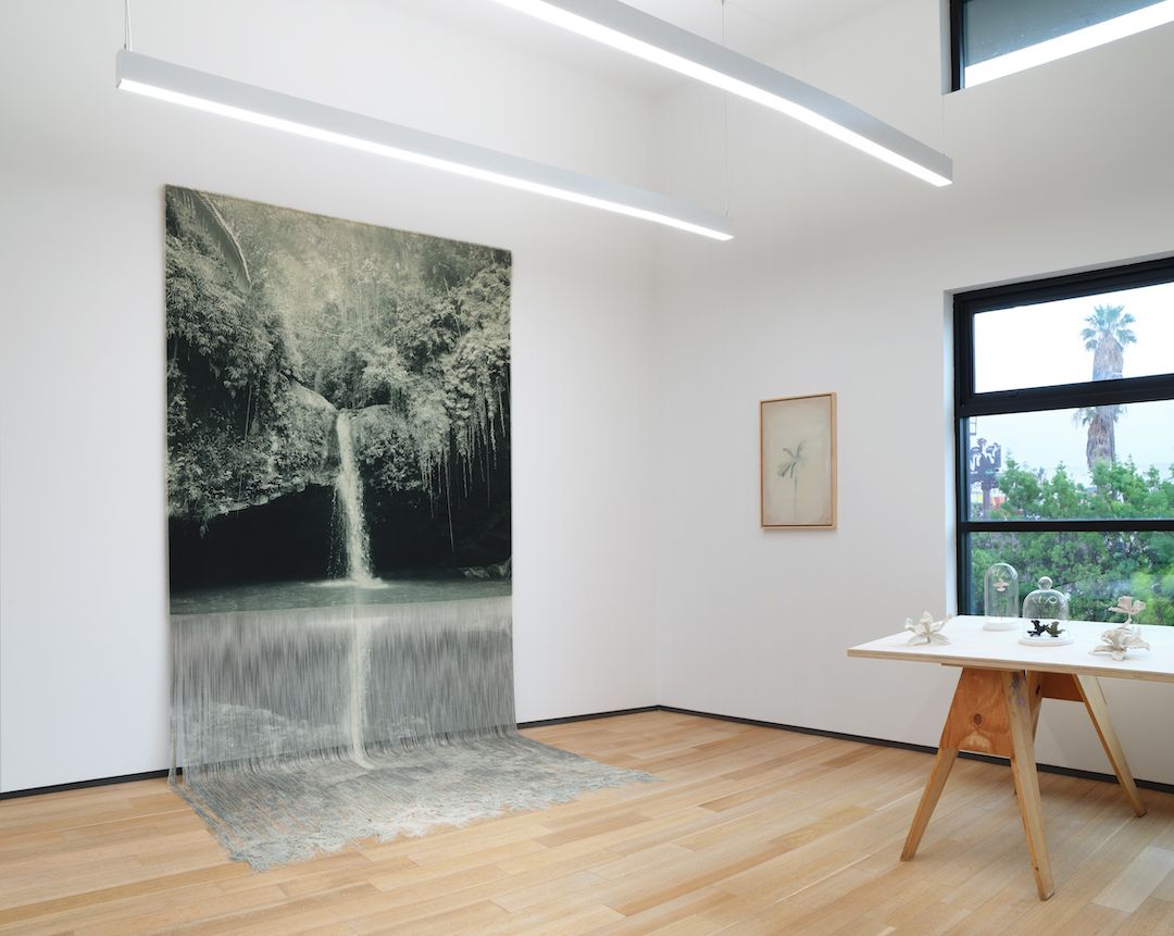 Ana González, Verdes at Sean Kelly, photo 3