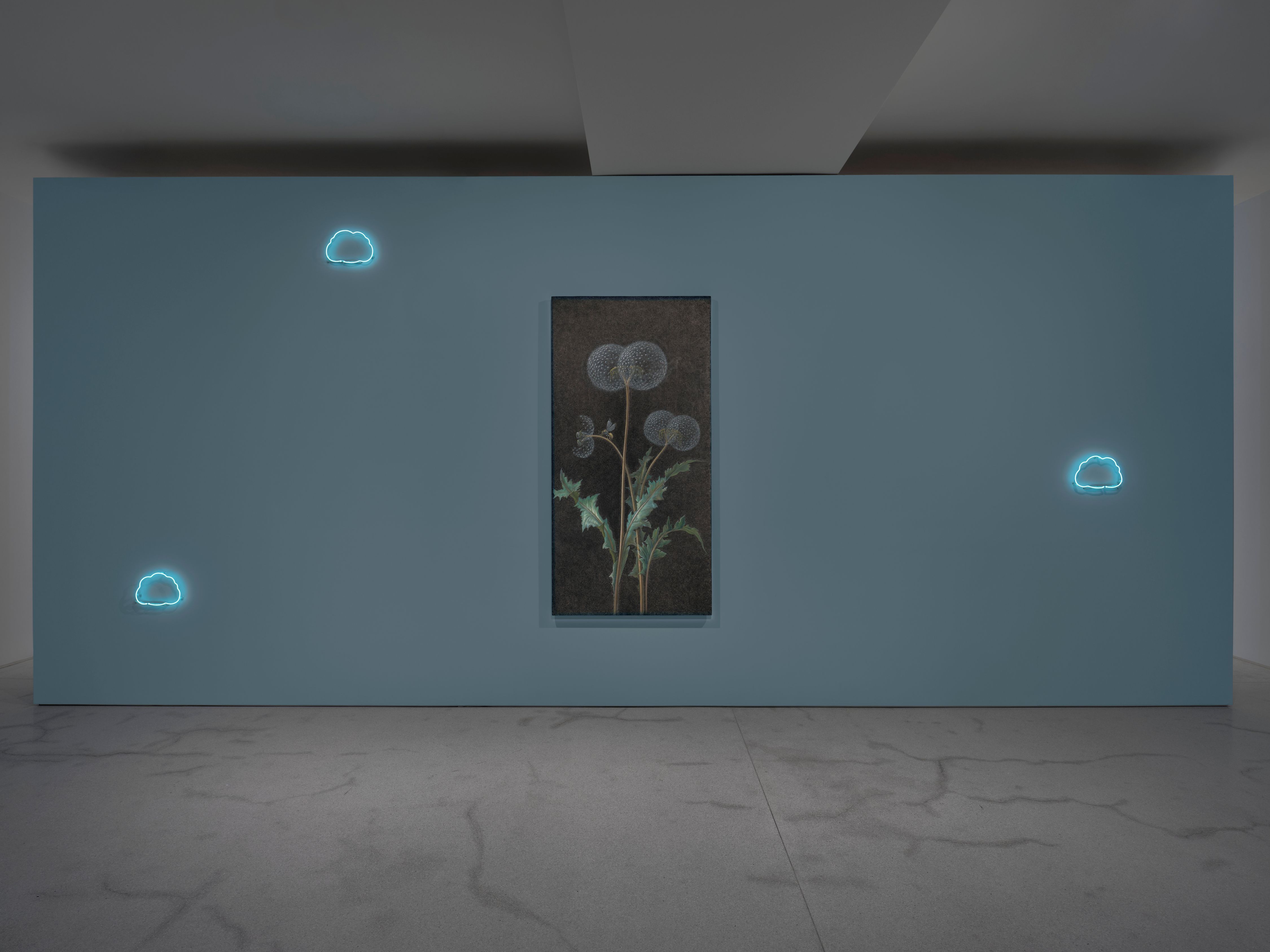 Laurent Grasso, Orchid Island at Perrotin, photo 4