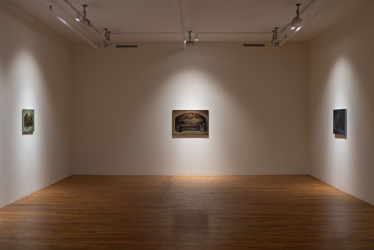 Lewis Hammond, The Rabbits at 47 Canal, photo 2