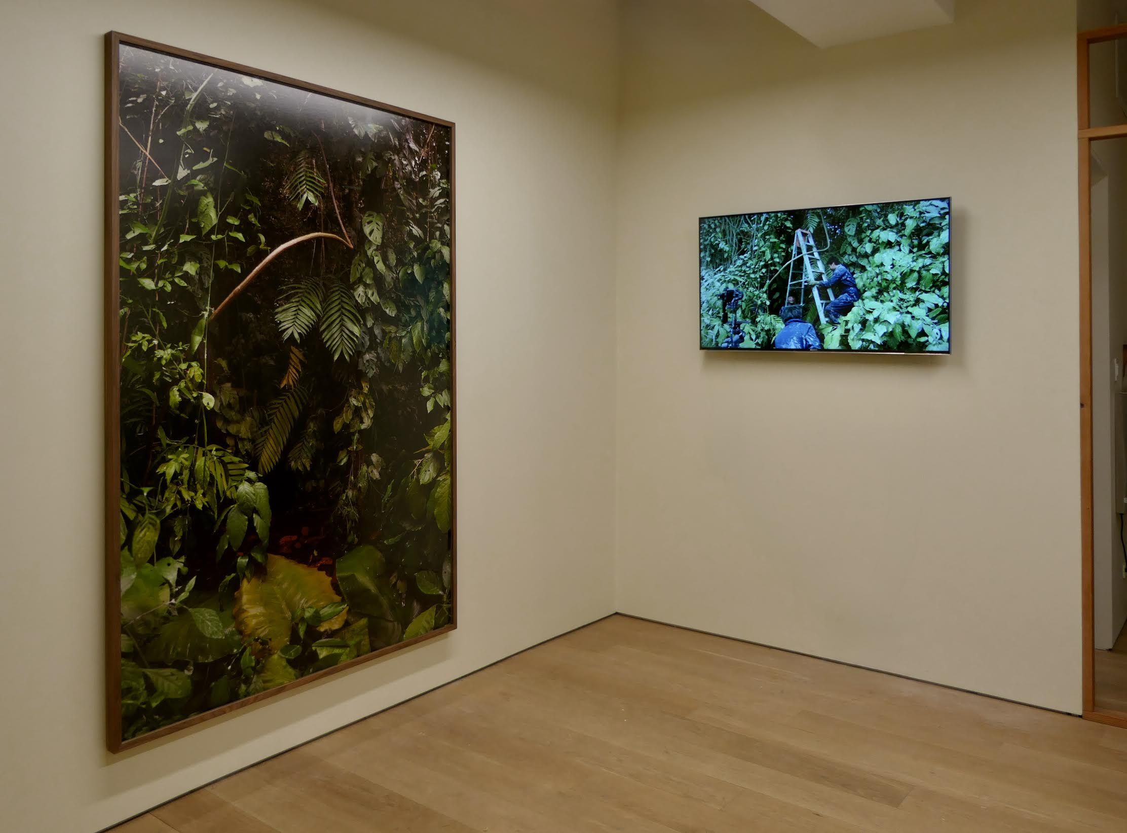 We Are Landscapes, image 3 of 3