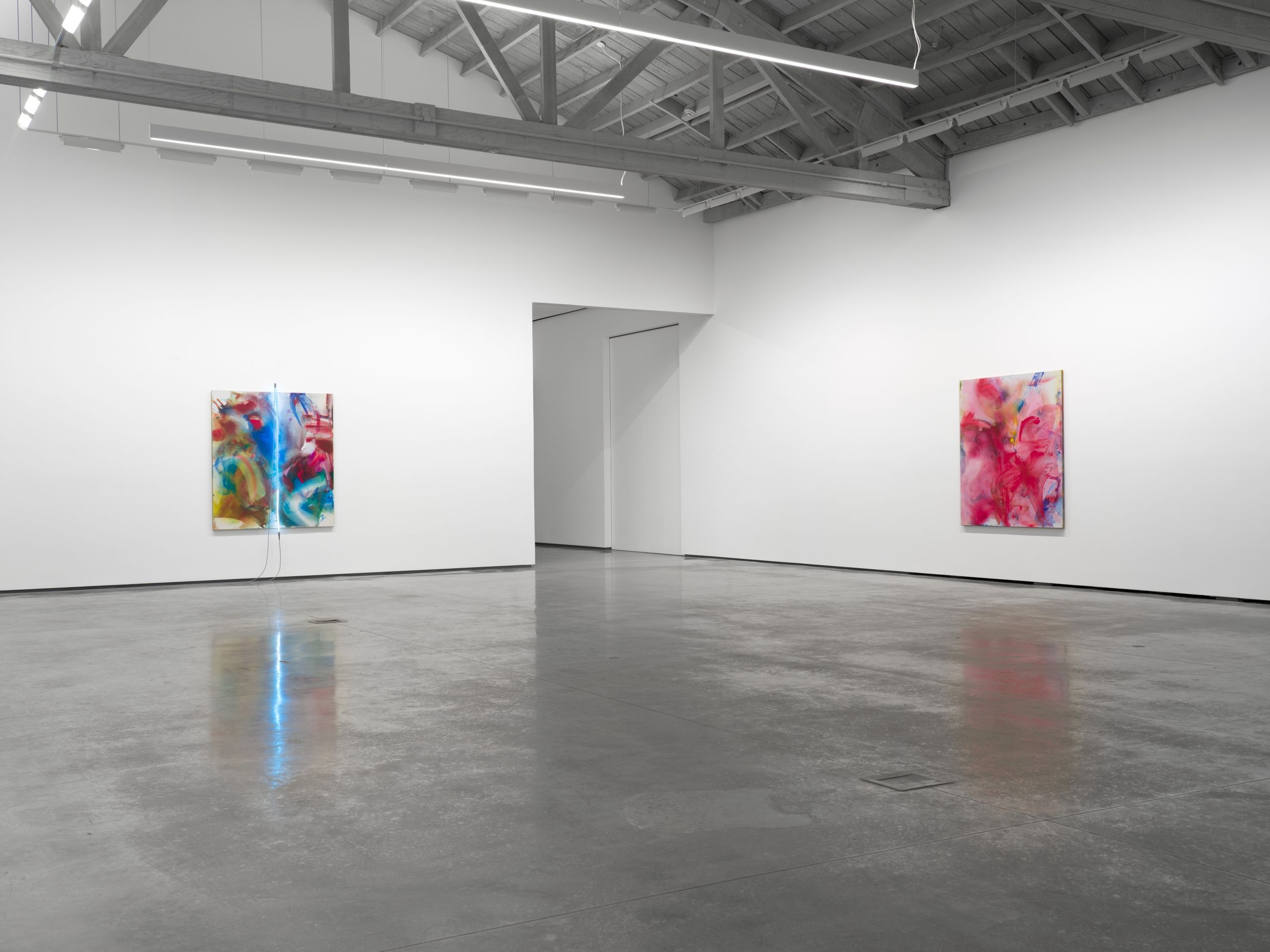Mary Weatherford, Mountains Mud Prisms Air at David Kordansky Gallery, photo 13