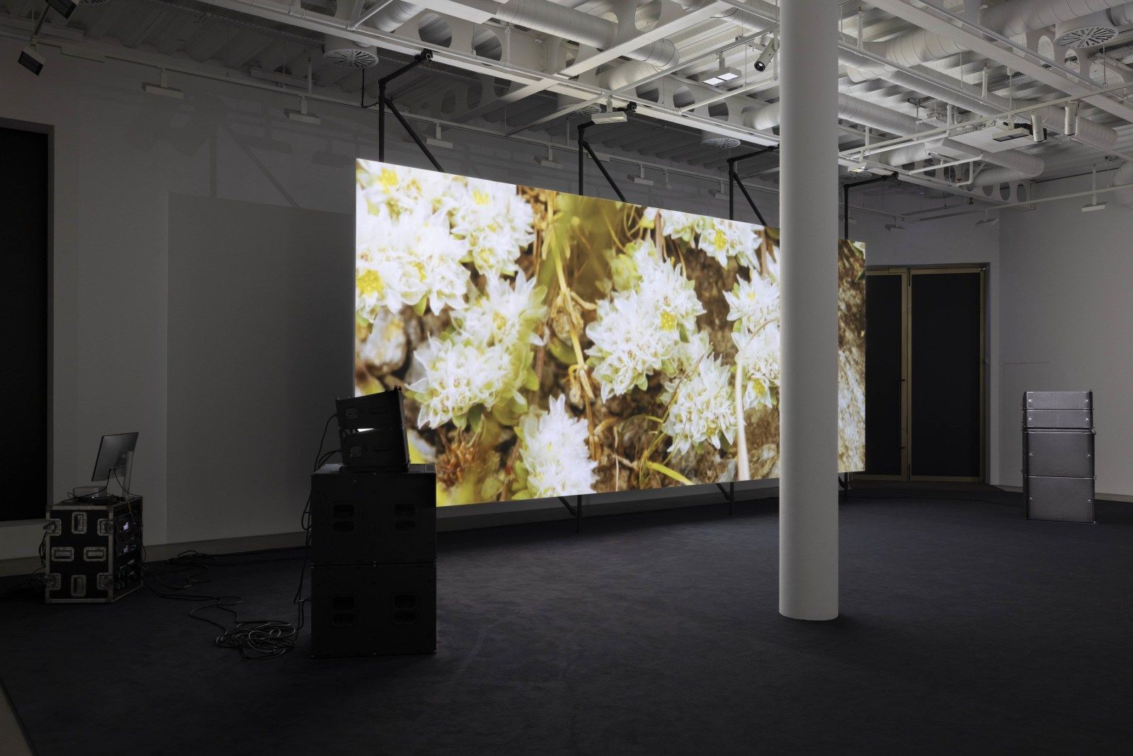 Philippe Parreno, El Almendral at Pilar Corrias, photo 3