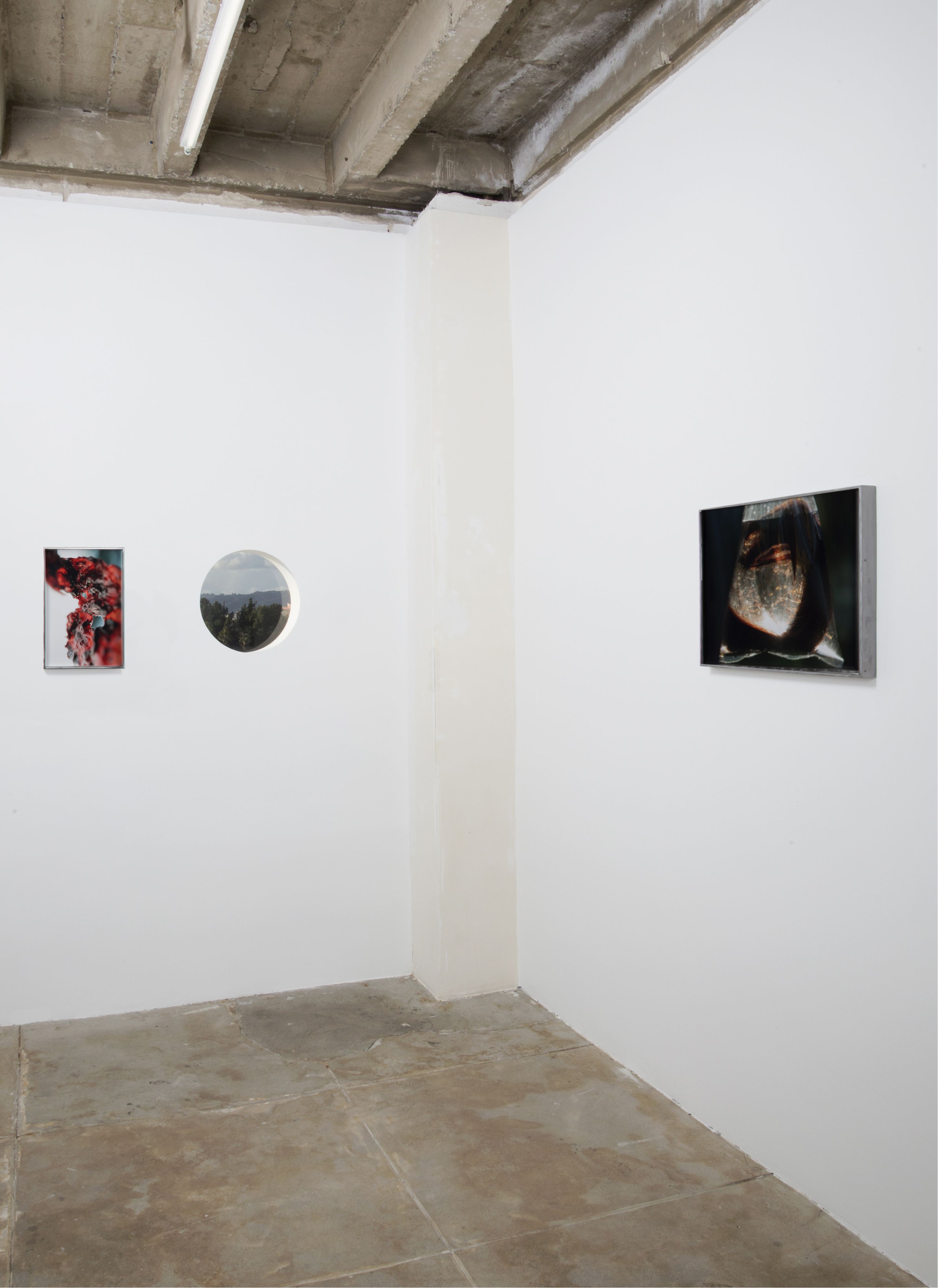 Diane Severin Nguyen, Flesh Before Body at Bad Reputation, photo 2