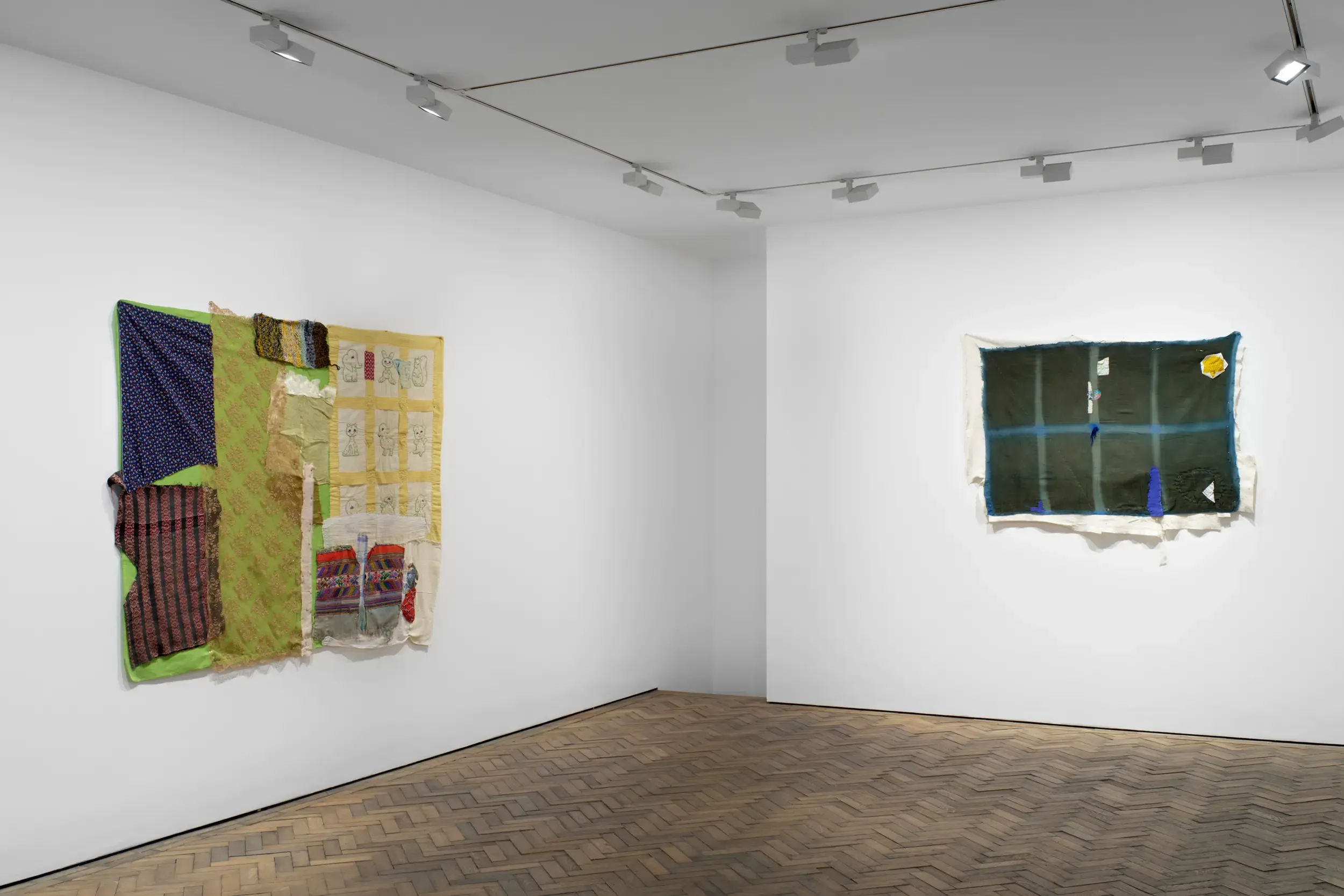 Susan Cianciolo, This is the New Earth: The Galactic Field at Modern Art, photo 3