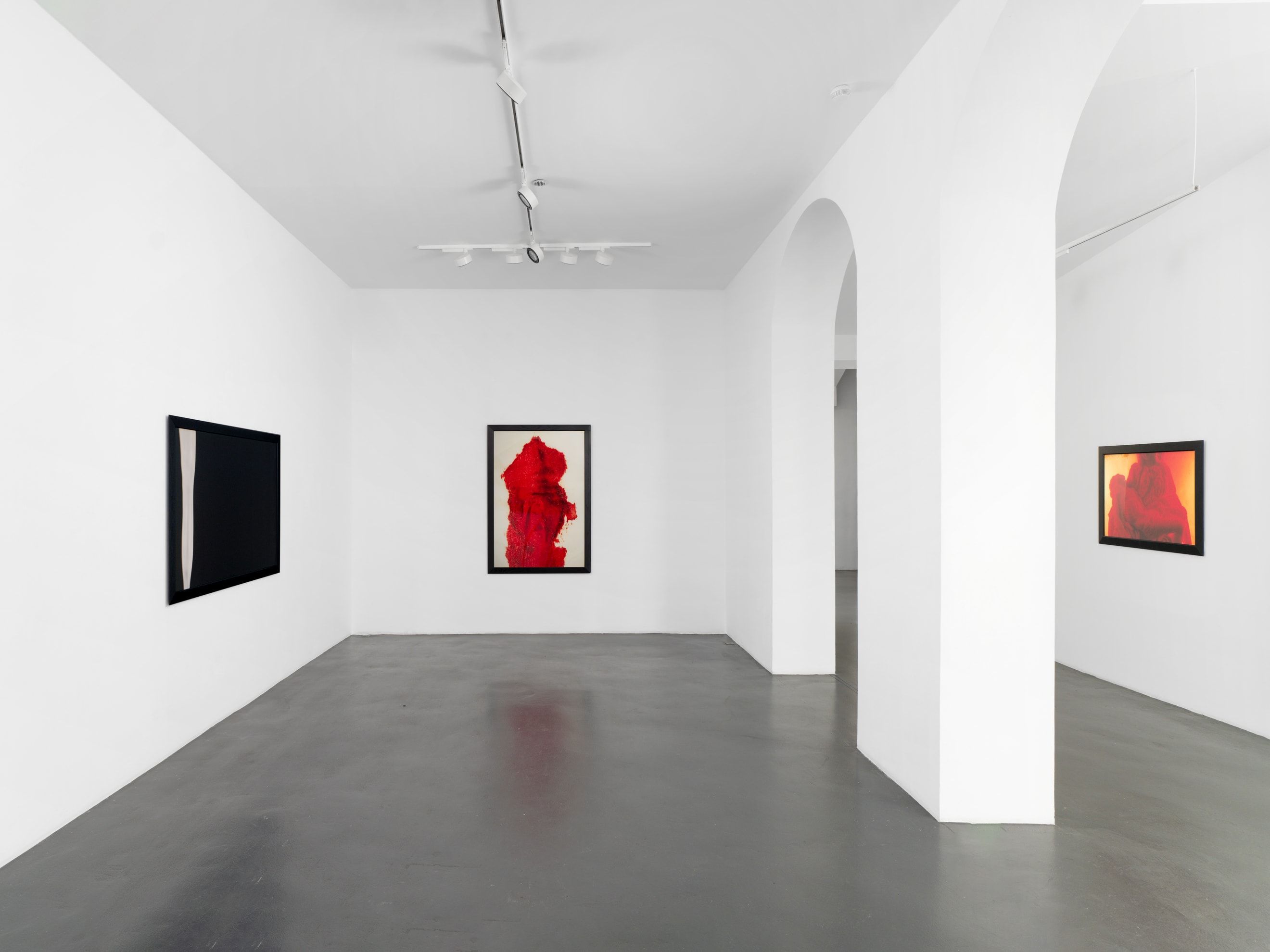 Andres Serrano, A Personal Mythology Immersions and Bodily Fluids at Nathalie Obadia, photo 3
