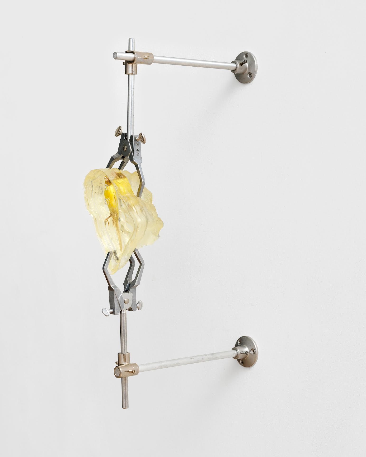 The Stone Age, The Stone Age at Bienvenu Steinberg & J, photo 6