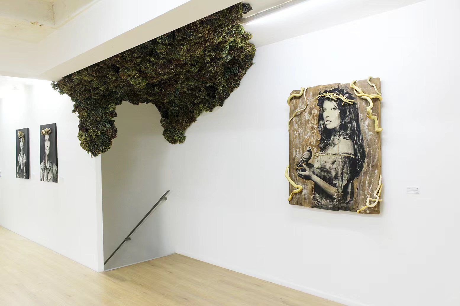 Yseult "YZ" Digan, Empress at Danysz, photo 4