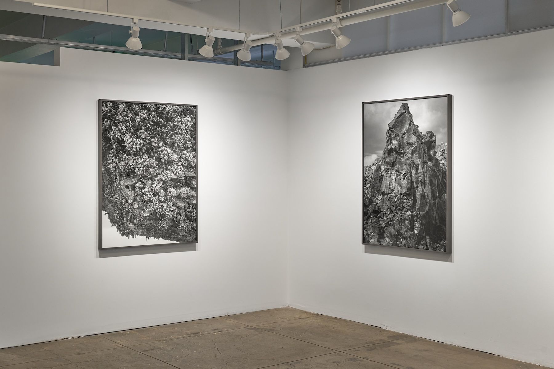 Ron Jude, Low Tide at Gallery Luisotti, photo 10