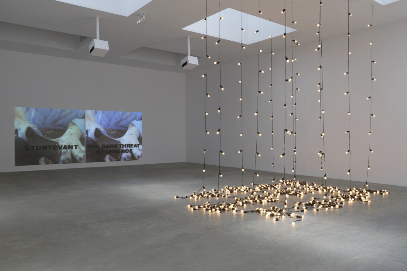 Sturtevant, Sturtevant at Matthew Marks, photo 3