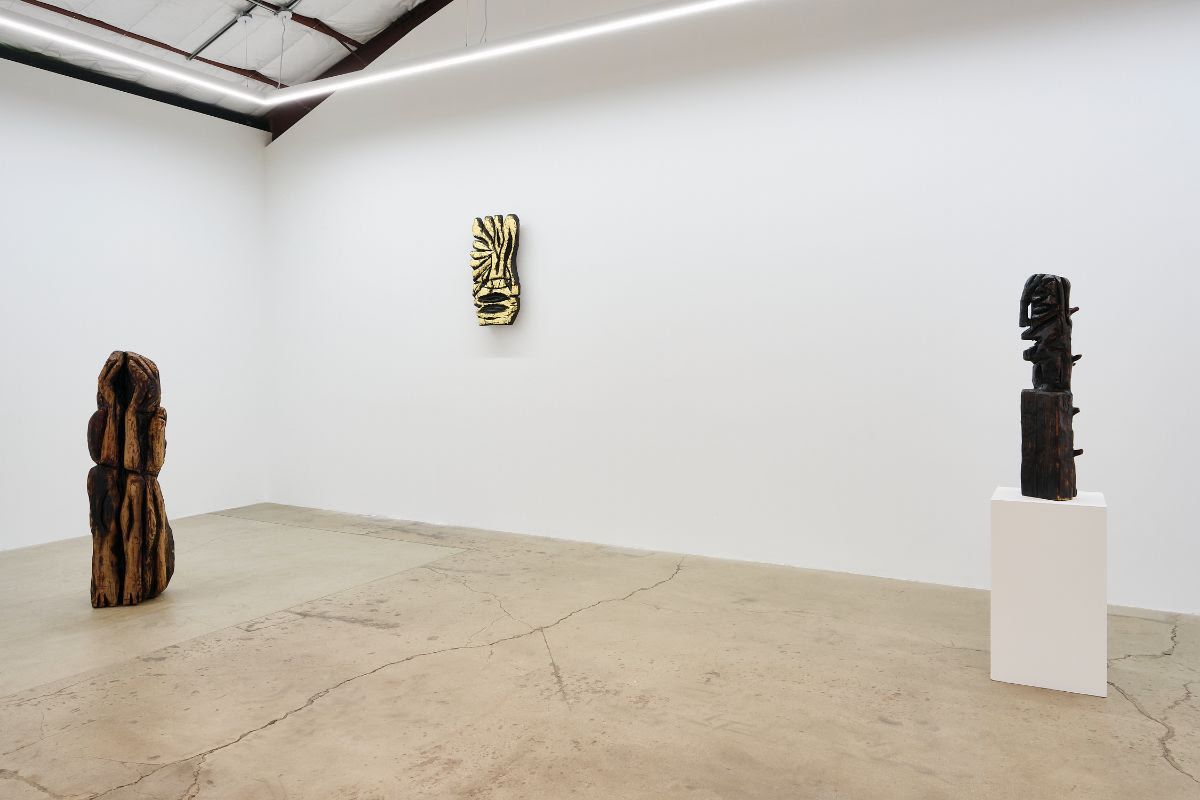 Ryan Schneider, Earth Canal at The Pit, photo 4