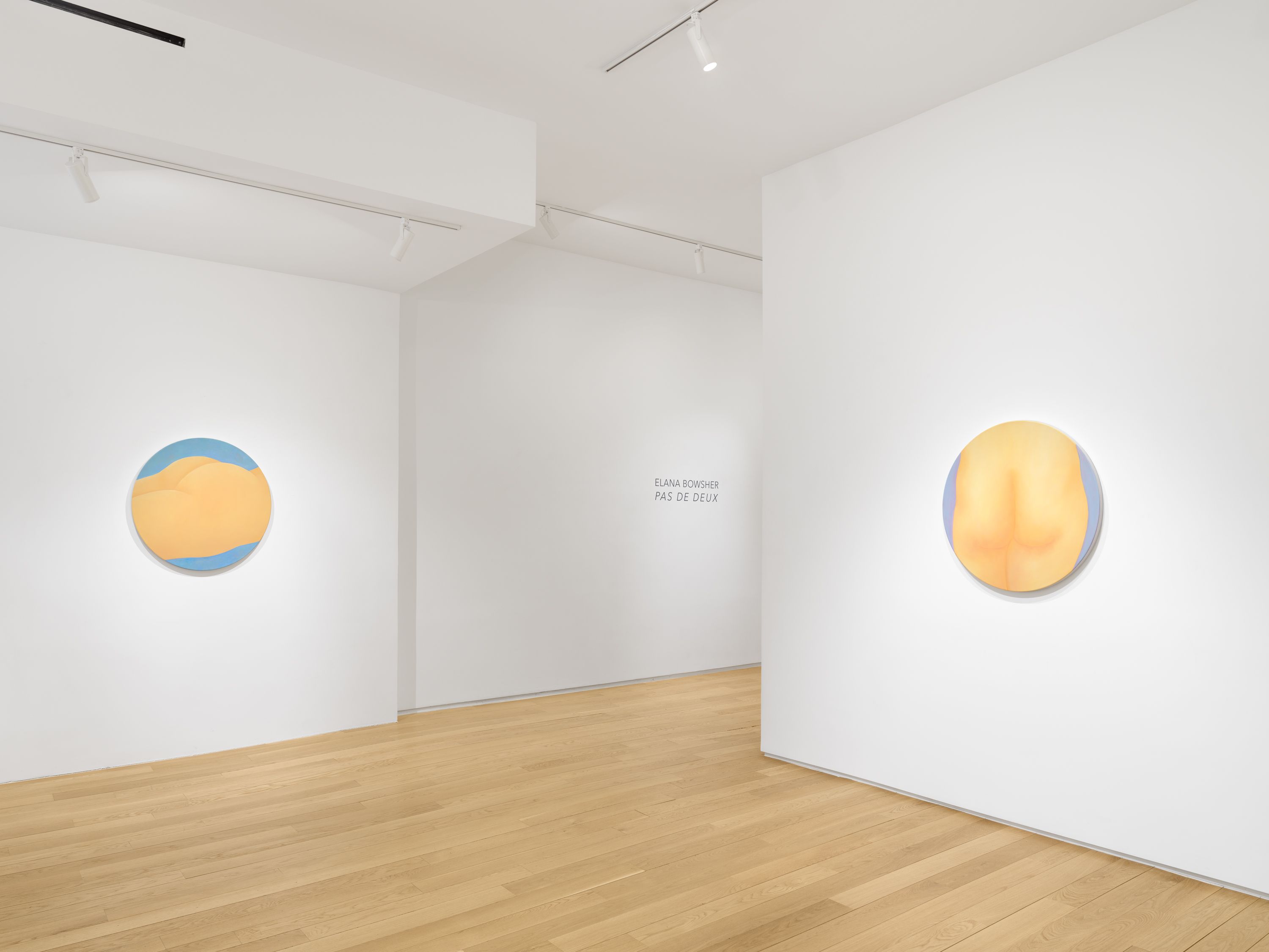 Elana Bowsher, Pas de Deux at Alexander Berggruen, photo 10
