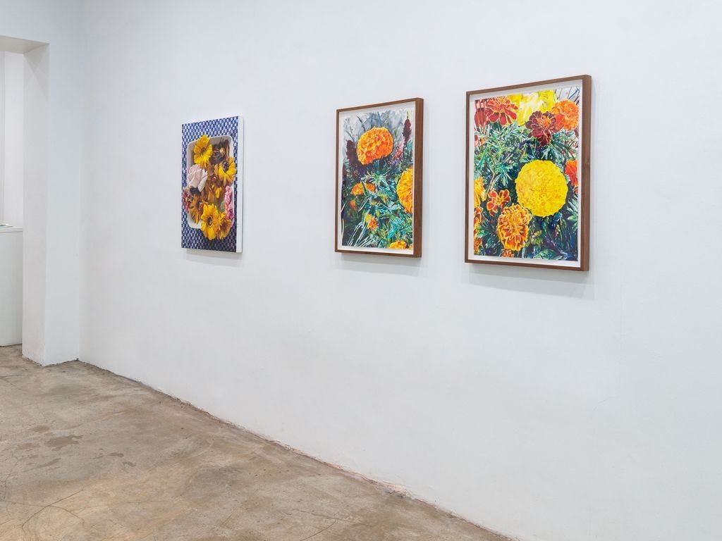 Installation view 3