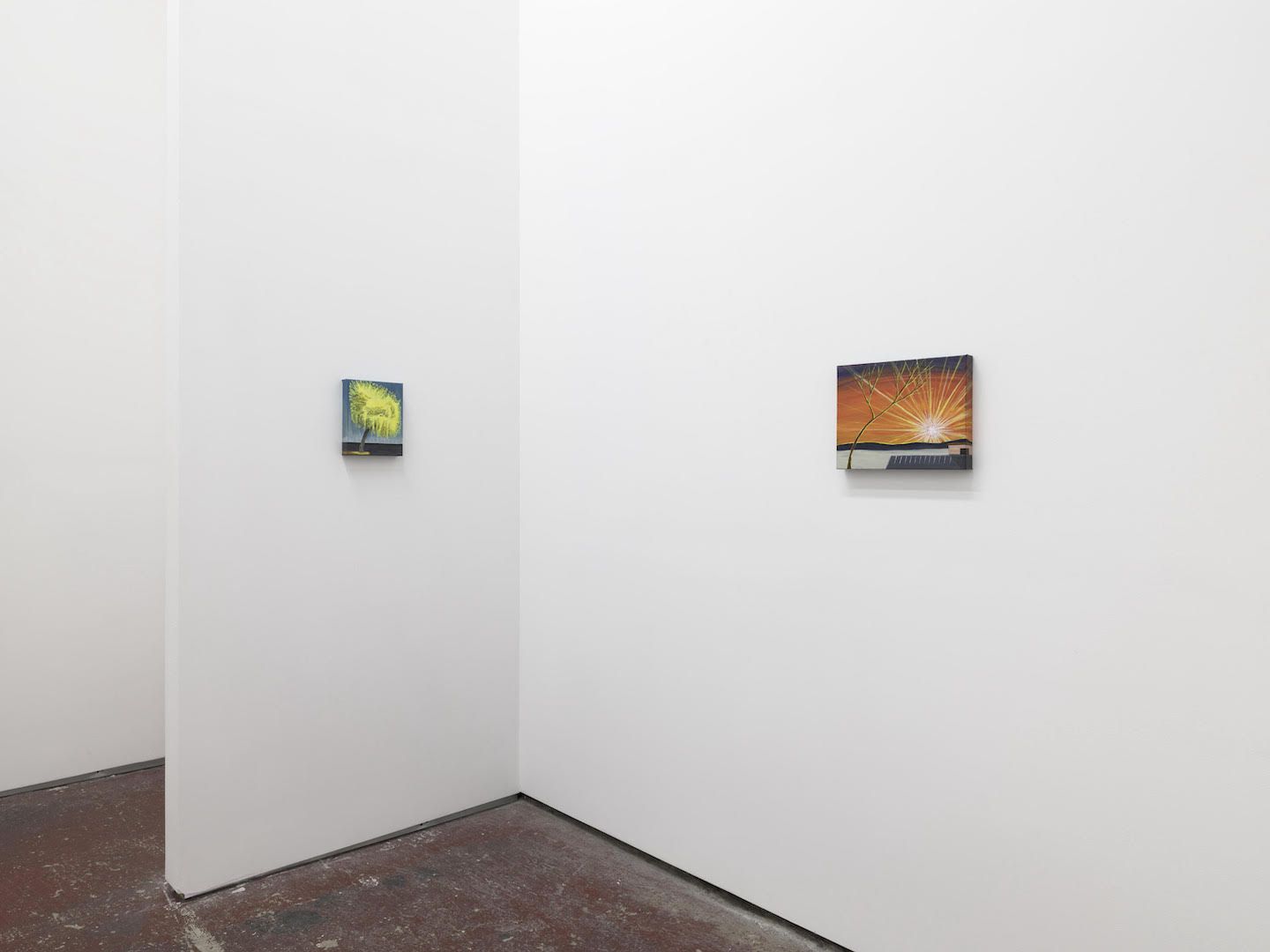 Sarah Roche, Altered Scenery at Marvin Gardens, photo 3