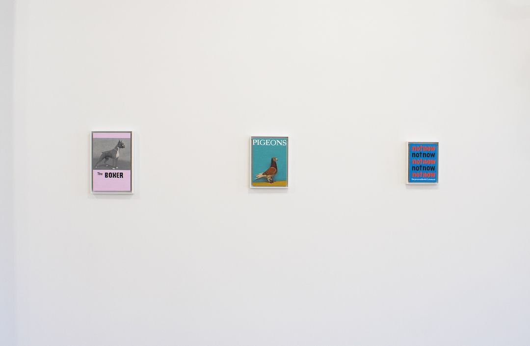 Installation view 9