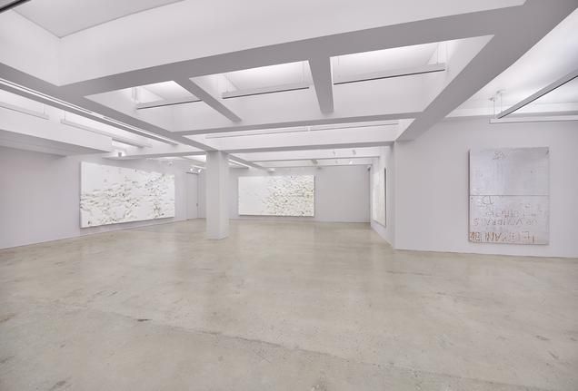 Rudolf Stingel, 2000-2003 at Nahmad Contemporary, photo 2