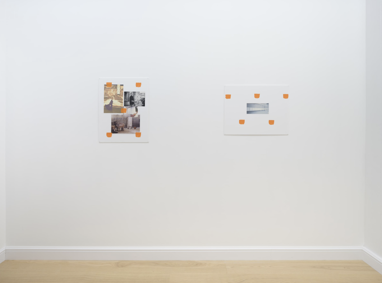 Niele Toroni, Niele Toroni at Marian Goodman Projects, photo 3