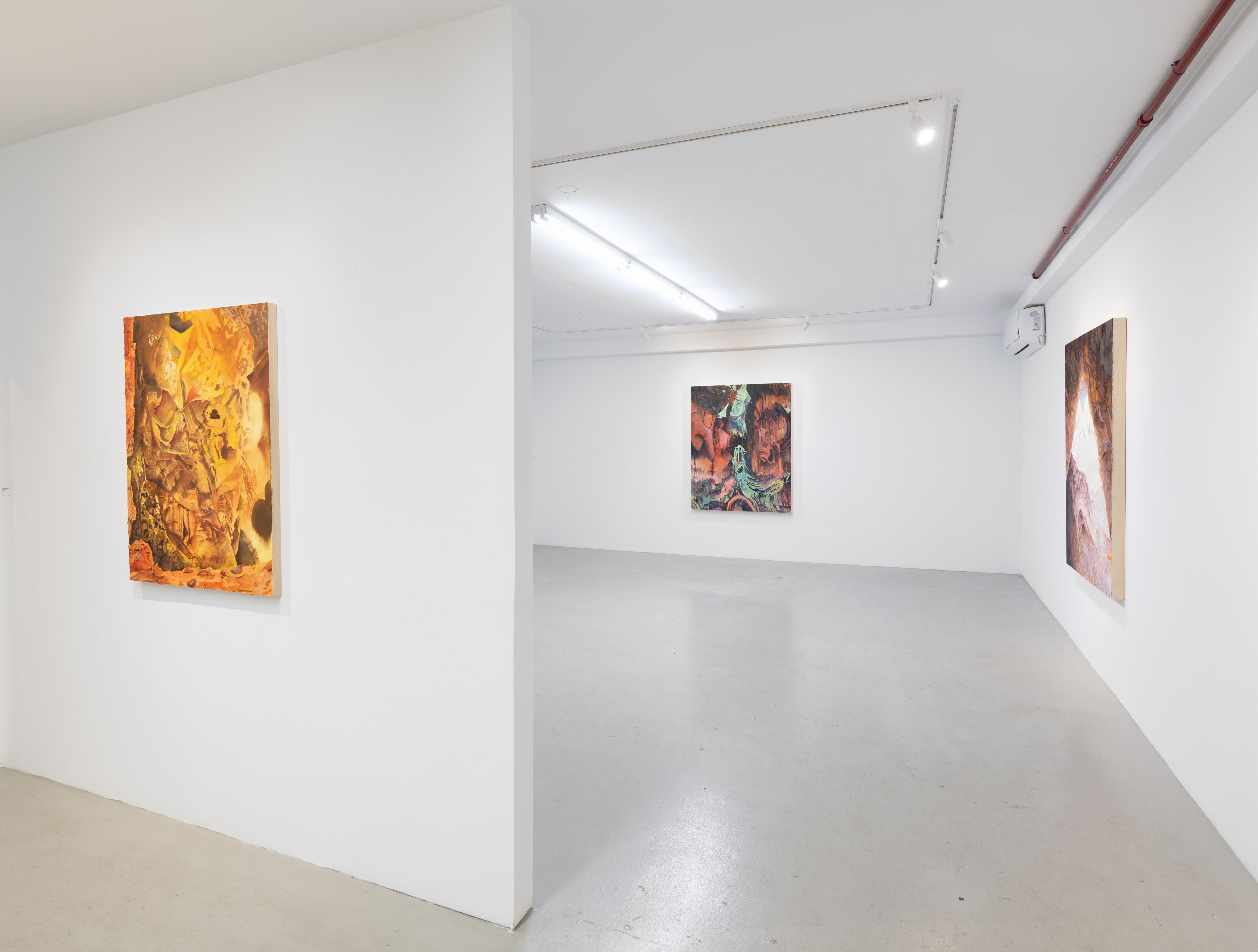 Eleanor Mahin Thorp, Bend of the Southern Cross at Plato, photo 12