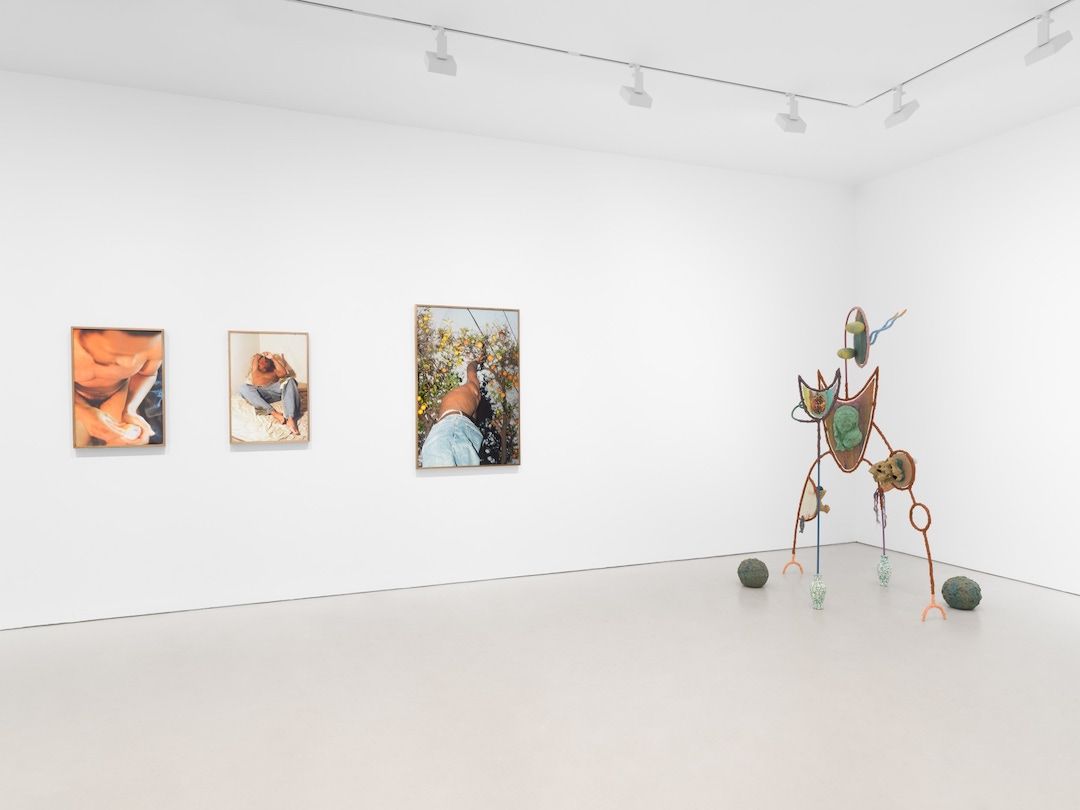 The Ecology of the Self, The Ecology of the Self at Miles McEnery, photo 4