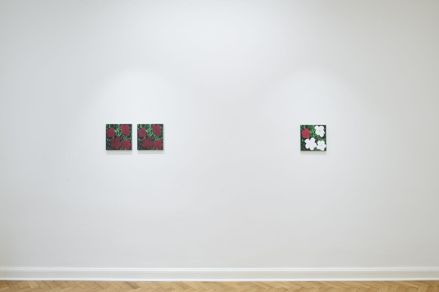 Sturtevant, Sturtevant at Société, photo 6