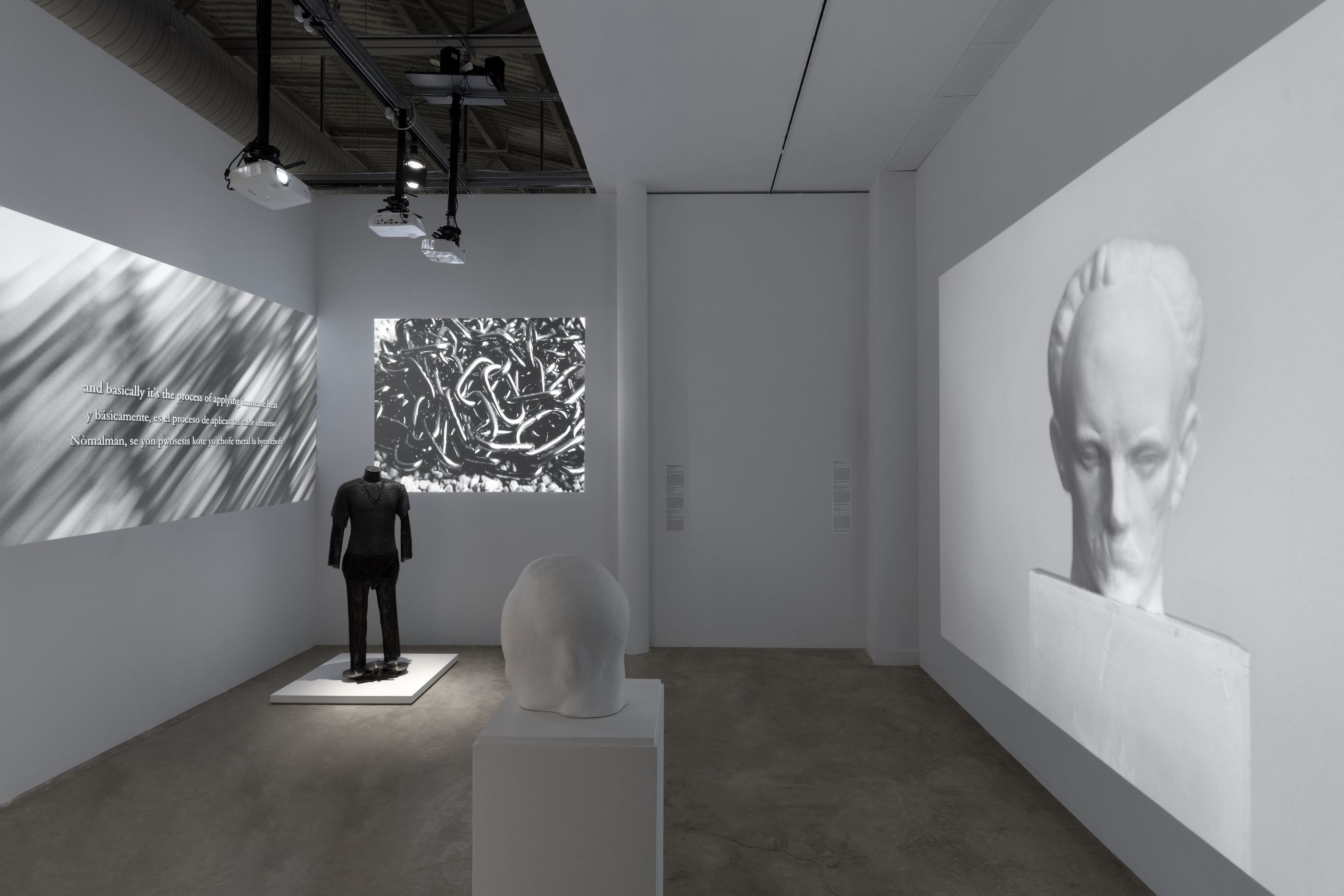 Juan Francisco Elso, Por América at MOCA North Miami, photo 5