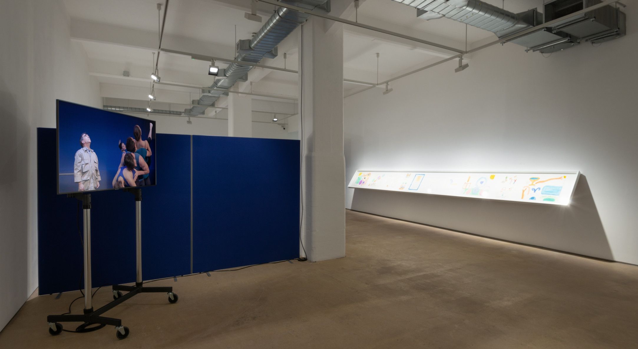 Michael Smith, Yet another show of drawings and videos reflecting on youth, ageing and a future of retirement by Michael Smith at Hales, photo 5