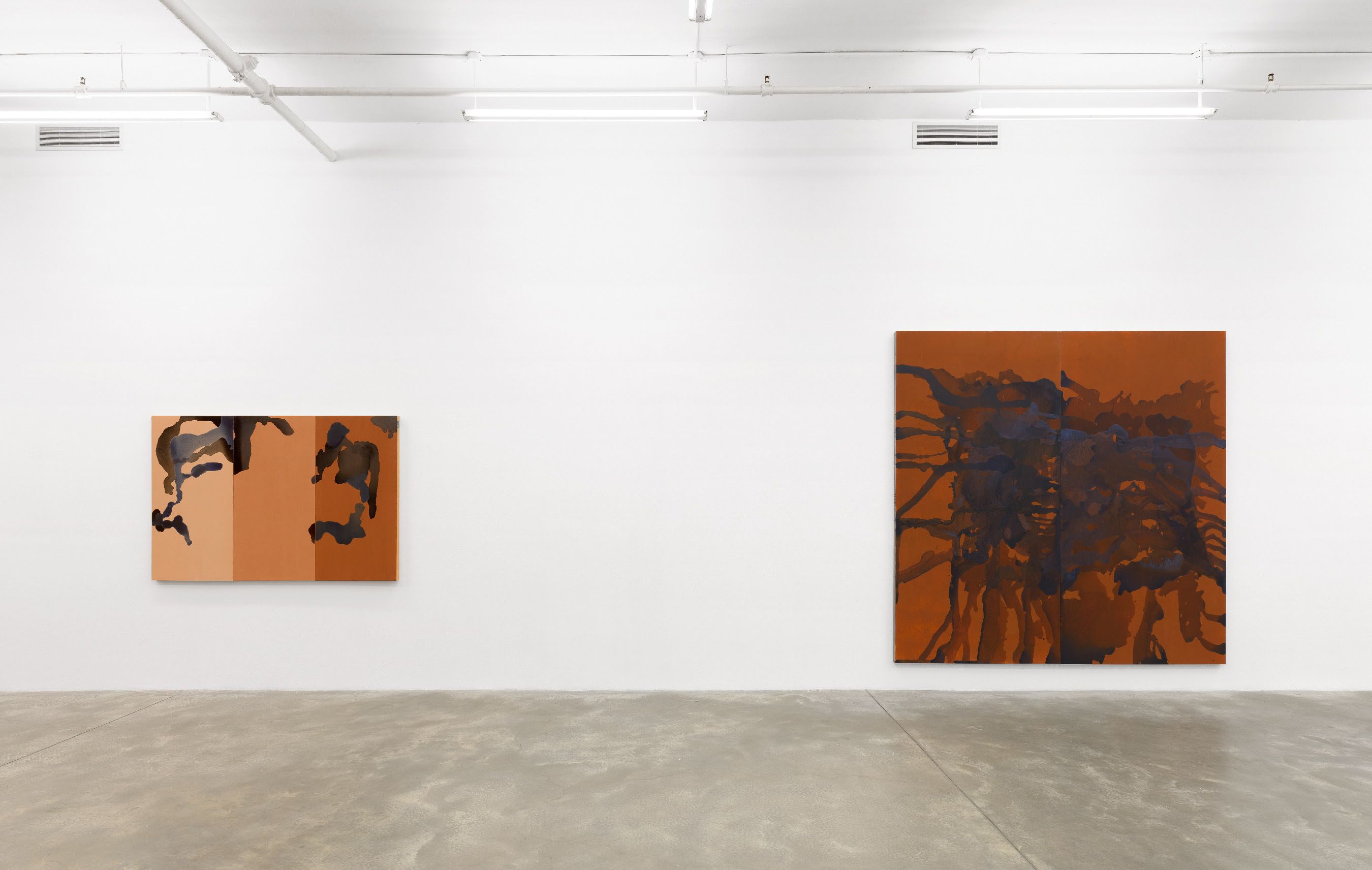 Amanda Williams, Run Together and Look Ugly After the First Rain at Casey Kaplan, photo 3