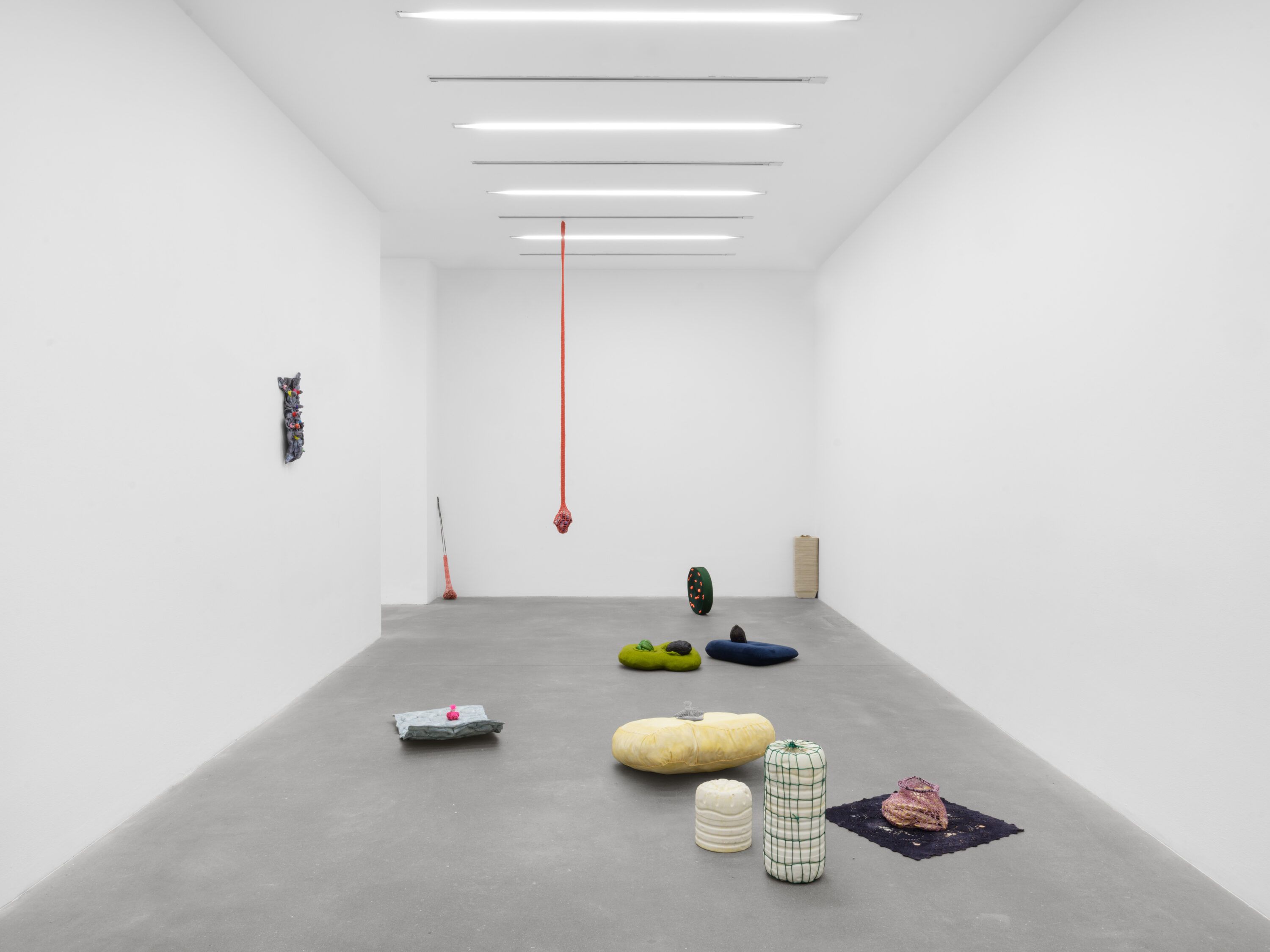 Veronica Ryan, Veronica Ryan at Alison Jacques, photo 5